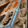 พาไปกิน Buffet เทพ ที่โรงแรม Siam City ครับ