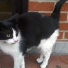 Tony