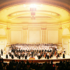 Milal at Carnegie Hall