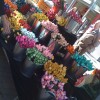 อันนี้ของปลอมนะครับ อันนี้ของปลอมนะครับ