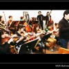 Concert Concert