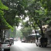 ถนนข้างวัดไตรมิตร เป็นอุโมงค์ต้นไม้ (อย่าตัดแบบที่เขาใหญ่นะ) ถนนข้างวัดไตรมิตร เป็นอุโมงค์ต้นไม้ (อย่าตัดแบบที่เขาใหญ่นะ)