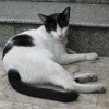 IMG_0891 IMG_0891