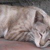 IMG_0894 IMG_0894