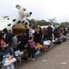 IMG_1388 IMG_1388