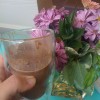 PS! Chocolate 7 PS! Chocolate 7