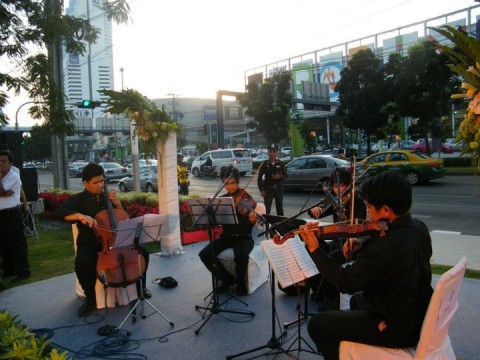 String Quartet C